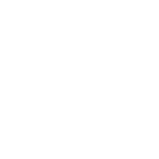Voice Squad Logo